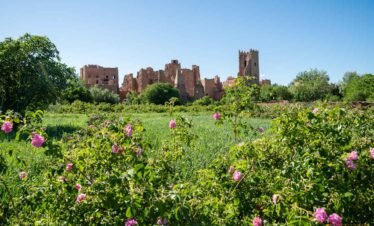 14-Day Tour from Casablanca