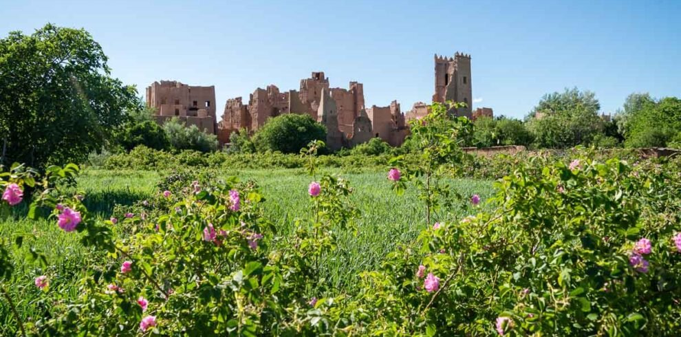 14-Day Tour from Casablanca