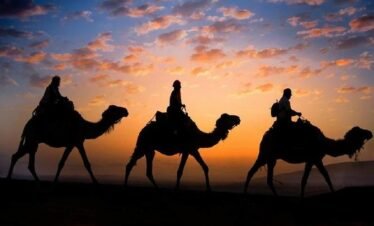 Camel Ride at Sunset in Marrakech's Palmeraie