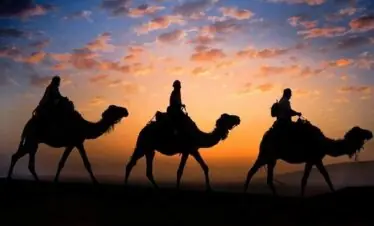 Camel Ride at Sunset in Marrakech's Palmeraie