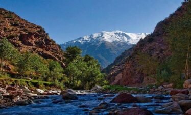 Marrakech Full-Day Ourika Valley Excursion from Marrakech