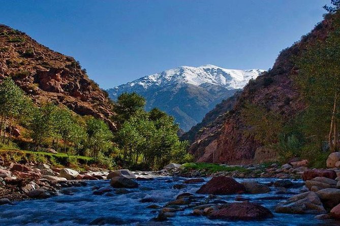 Marrakech Full-Day Ourika Valley Excursion from Marrakech