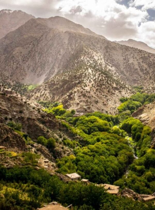 One-Day Excursion to Asni and Imlil