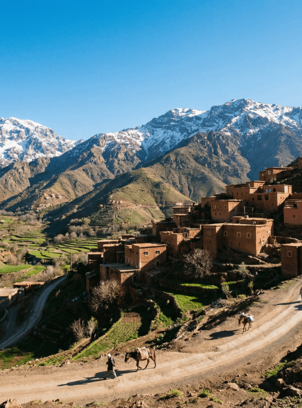 Best Day trips in Morocco
