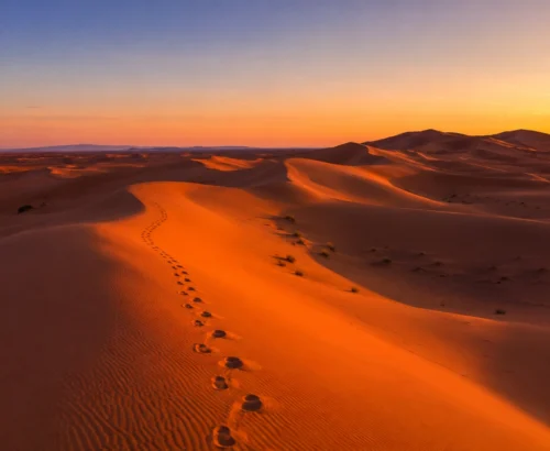 Merzouga Morocco: The Complete 2026 Travel Guide